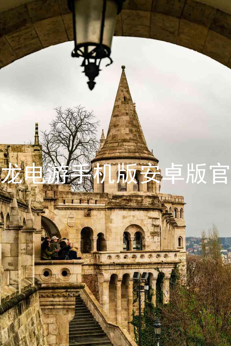 尊龙电游手机版安卓版官网